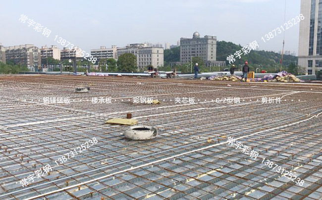 600���_(k��i)�ژǳа尸��֮�L(zh��ng)ɳ�����_(d��)